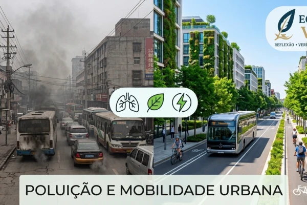 Poluicao mobilidade urbana egalet vox